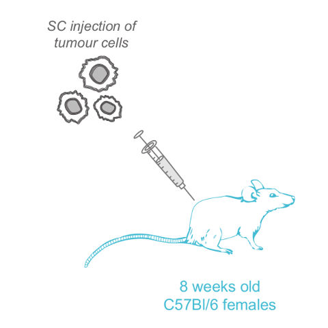 Combinaisons avec PD1/CTLA4